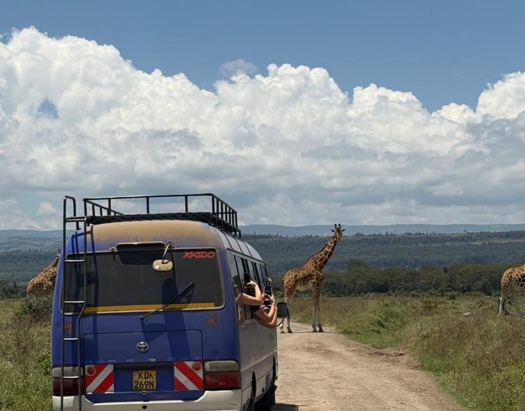 59d2172a-57a8-4ee2-a45a-3698ace033c1