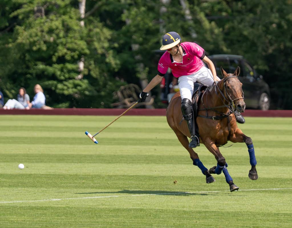 Copenhagen Cup Cheltenham-29
