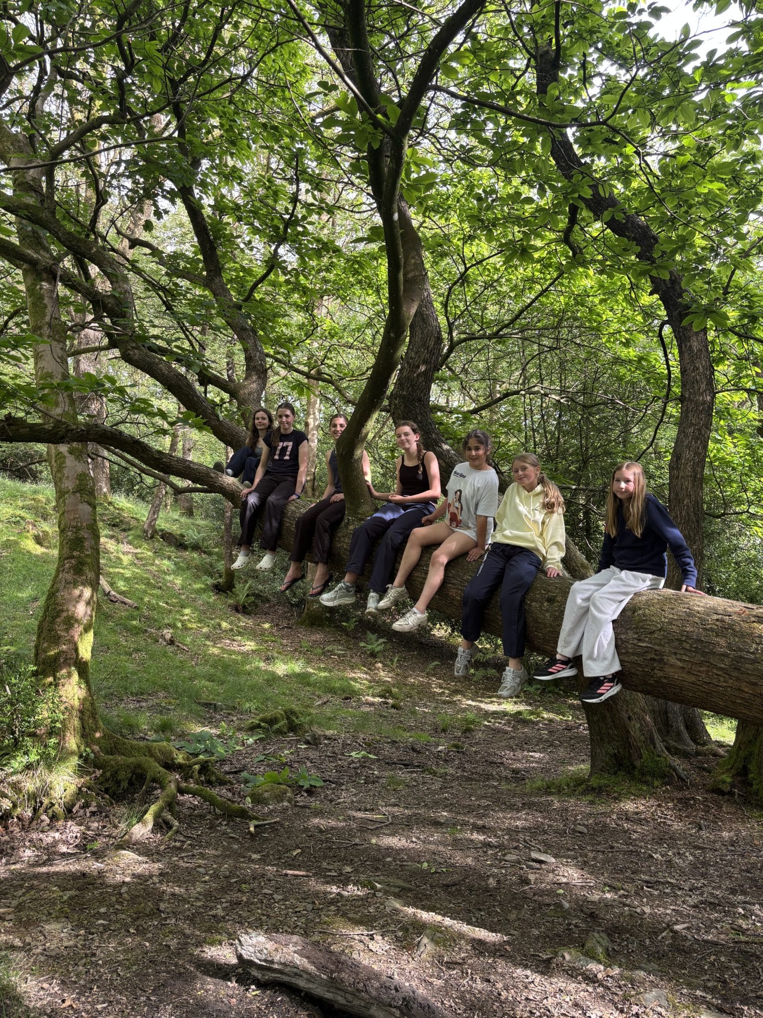 Seven people sit on a large fallen tree in a lush, green forest, surrounded by leafy branches and sunlight filtering through the trees. They appear relaxed and are looking towards the camera.