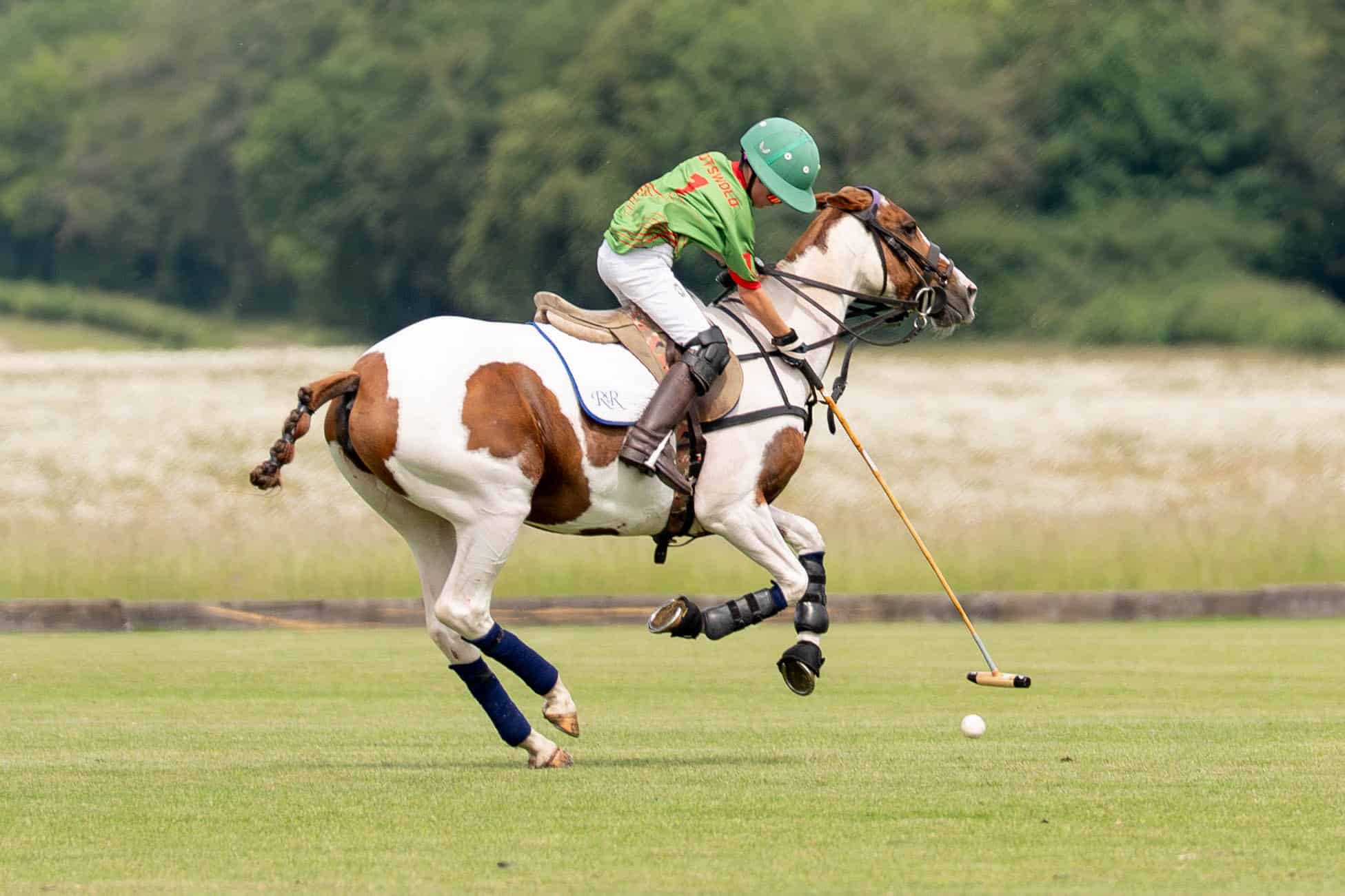 A polo player in a green helmet and colourful jersey rides a brown and white horse, swinging a mallet to hit a ball on a grassy pitch, with trees in the background.