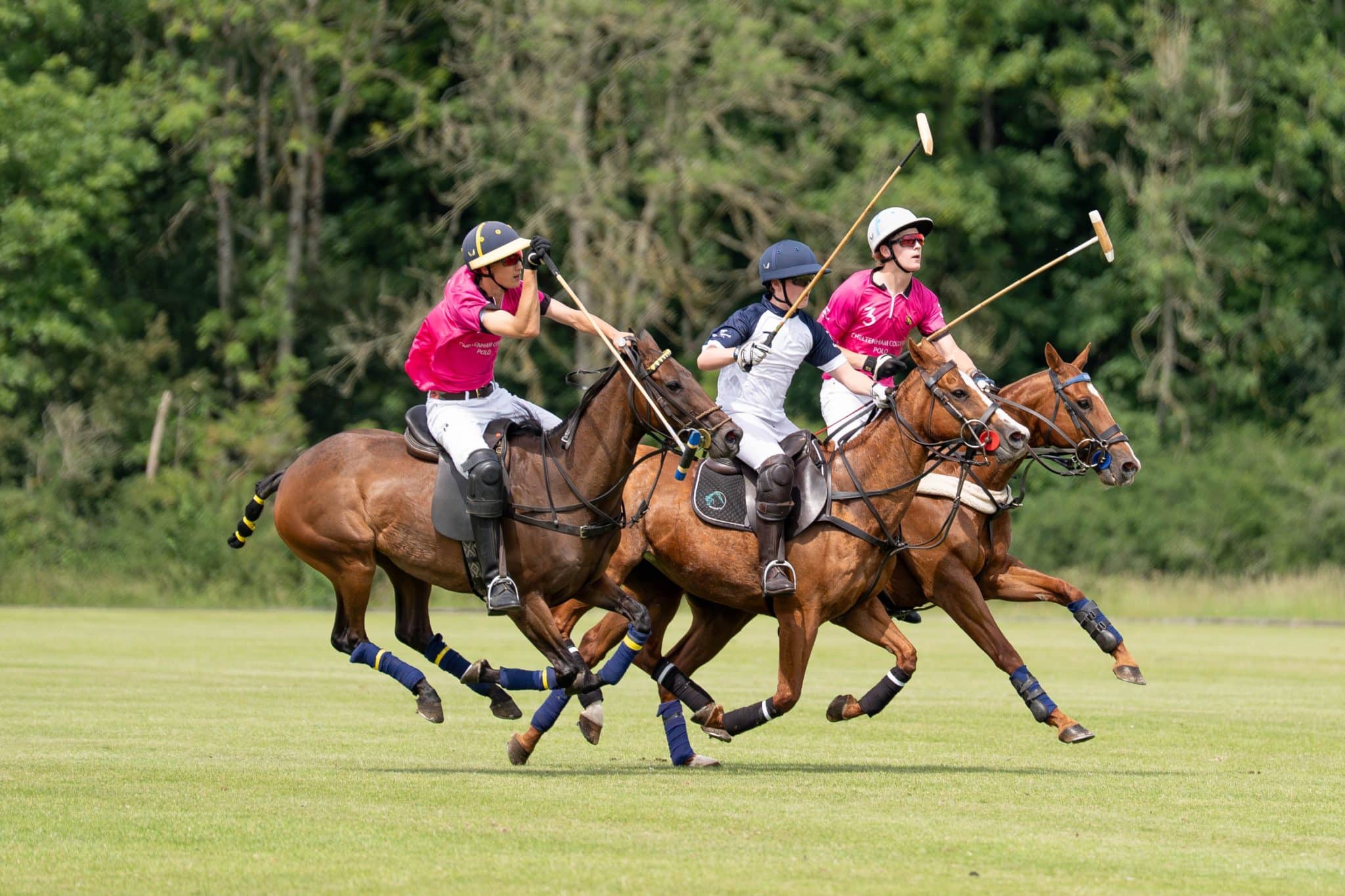 Three polo players on horseback compete in a match on a grassy pitch. Two players wear pink shirts and one wears white, all holding mallets and wearing helmets, with trees visible in the background.