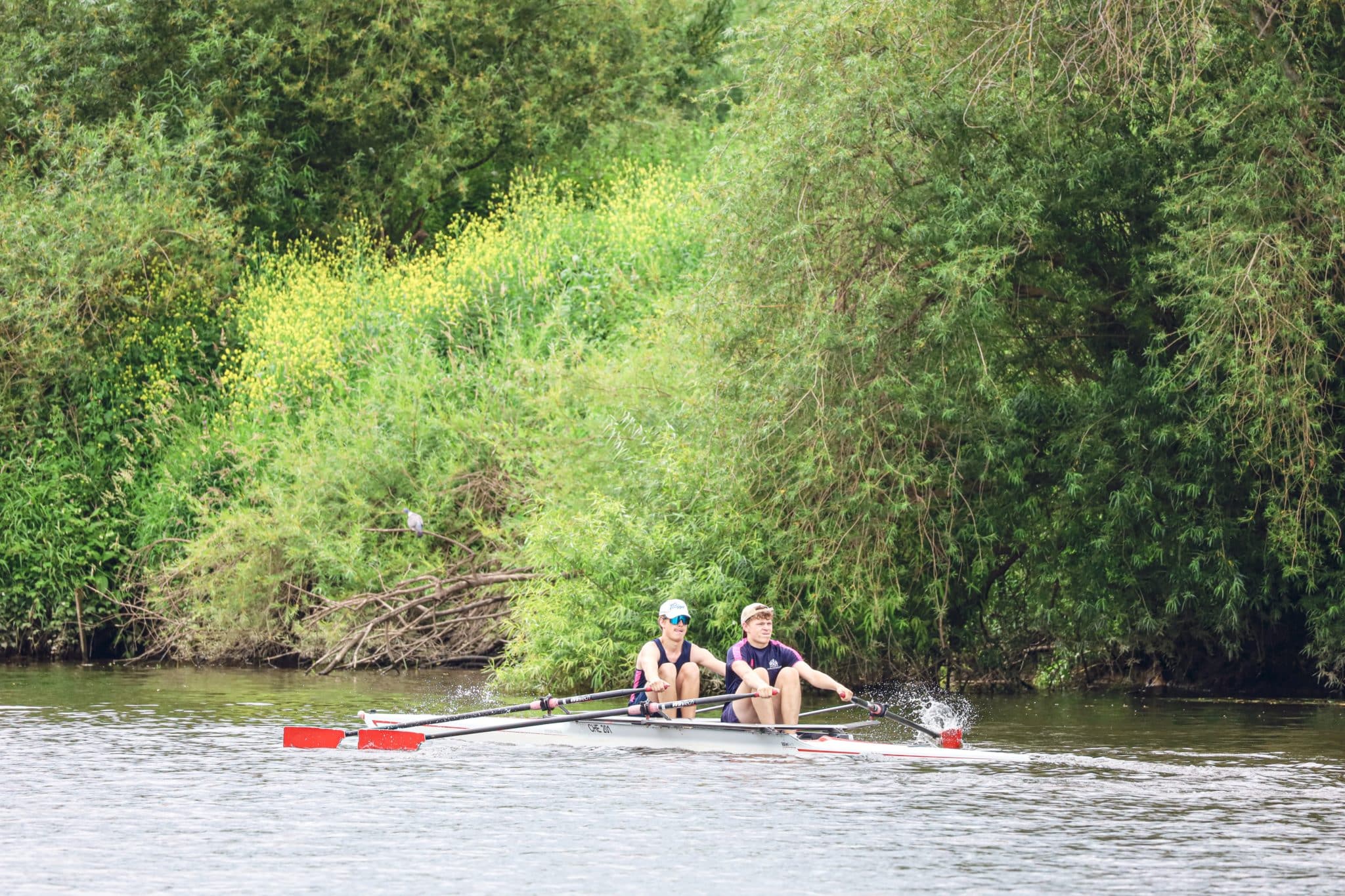 Two people rowing together in a small boat on a river, surrounded by lush green trees and bushes on the riverbank. The water splashes around their oars as they row in synch.