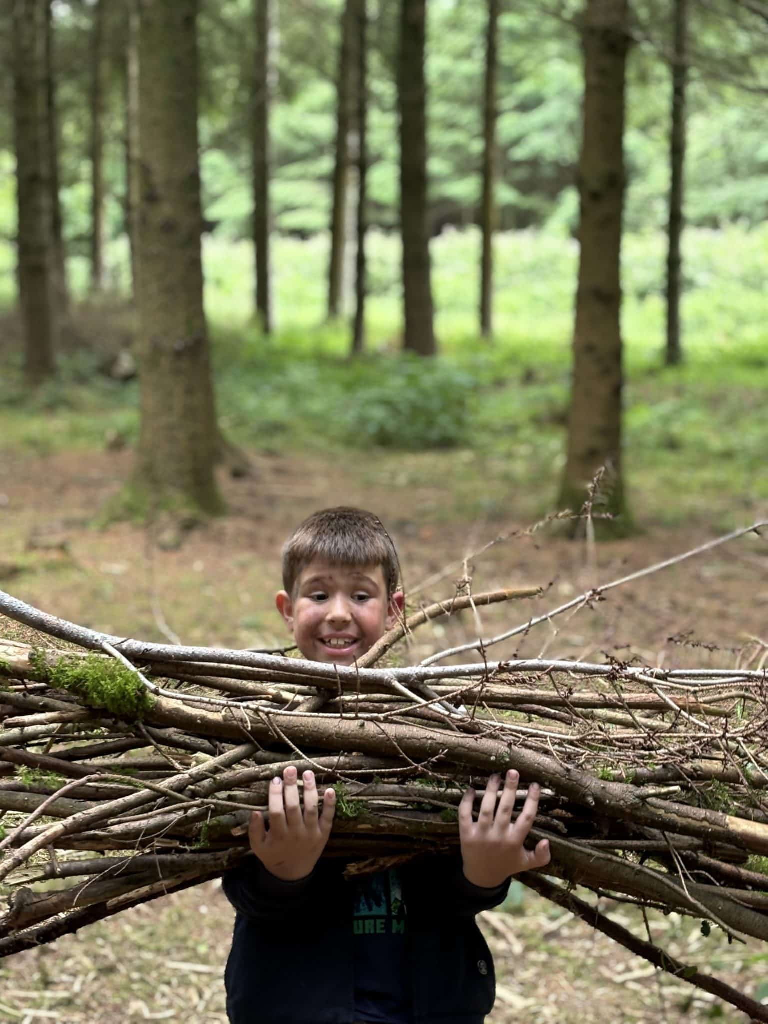 A smiling child stands in a forest, holding a large bundle of sticks and branches in front of them. Trees and greenery are visible in the background.