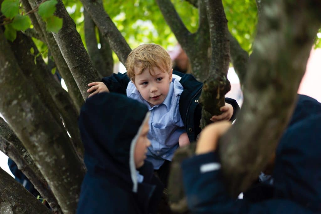 A young child with blond hair climbs a tree, surrounded by other children in dark jackets. The background is filled with green leaves and branches.